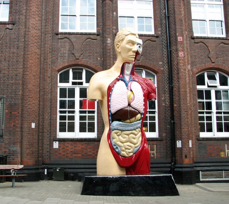Damien Hirst